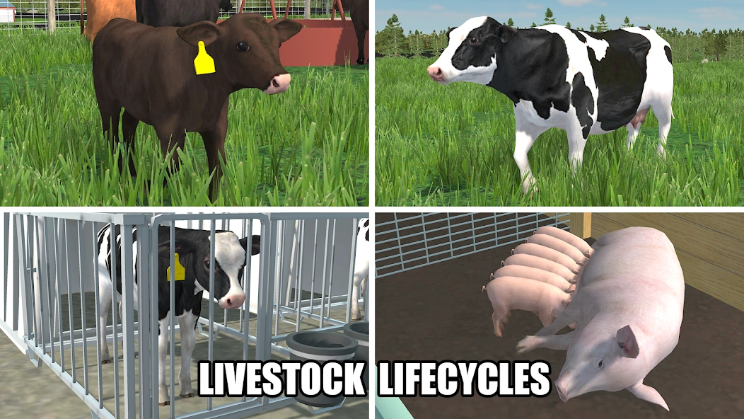 American Farming screenshot 3