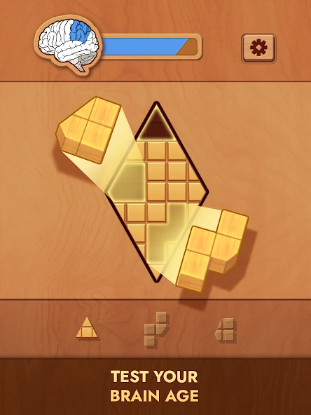 Woodoku - Wood Block Puzzle screenshot 8